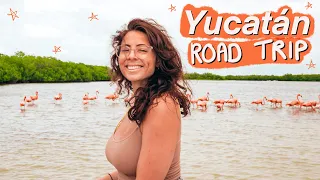 YUCATAN ROAD TRIP 🇲🇽 Los Coloradas + Unknown Cenotes