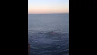 Swim at Portmarnock