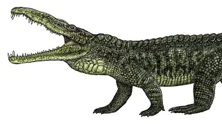 Smilosuchus: One Of The Largest Amphibious Predators Before The Dinosaurs
