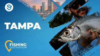 Tampa Bay Fishing: All You Need to Know | FishingBooker