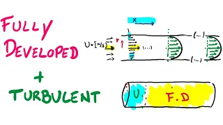 Turbulent + Fully developed flow - Entrance length - Convection in pipe - W10Q2