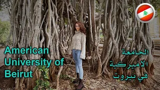 الجامعة الأمريكية في بيروت | American University of Beirut (AUB)