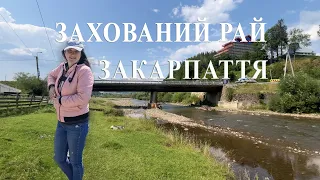 Захований рай Боржавської Полонини в Карпатах! МАНДРИ ПОРУЧ!