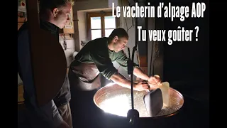 Tu veux goûter le Vacherin Fribourgeois d'Alpage AOP ?