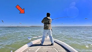 Fishing under HUNDREDS of BIRDS in the GULF of MEXICO for GIANTS! [Catch, Clean, Cook]