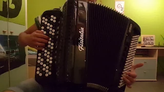 Believer (Imagine Dragons) ~ Accordion Cover