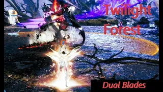 [NA] Blade & Soul Twilight Forest Stage 2 Boss 1 & 2 | Dual Blade (Soulboost)