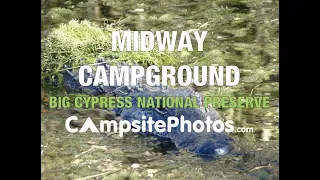 Midway Campground - Big Cypress National Preserve, FL