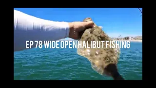 EP 78 Revised Wide Open Halibut Fishing 켈리포니아 광어 루어 낚시