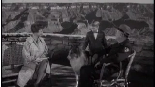 Lassie - Episode #256 - "Lassie at the Grand Canyon" - Season 8 Ep. 1 - 09/10/1961