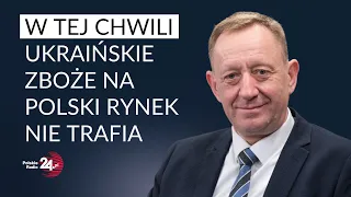 Minister Telus zapewnia: na polski rynek nie trafia zboże z Ukrainy