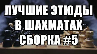 Лучшие шахматные этюды с решением. Сборка №5. Шахматная композиция. Решение шахматных позиций