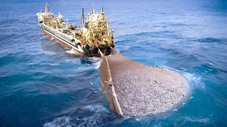 Unbelievable Big Catch: Look How World's Largest Fishing Boat Catch Hundreds Tons of Fish At Sea