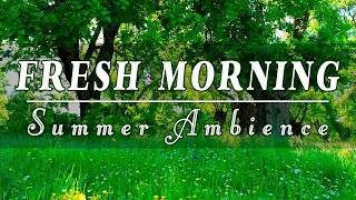 🌿🌞Begin Your Day with the POSITIVE ENERGY of Healing Forest Sounds 🌿 Fresh Morning & Summer Breeze