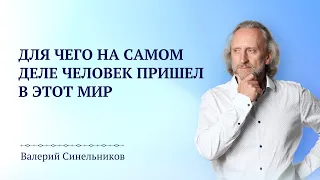 2 ГЛАВНЫЕ ЗАДАЧИ С КОТОРЫМИ ЧЕЛОВЕК ПРИХОДИТ В ЭТОТ МИР | ДУХОВНЫЙ ПУТЬ С ВАЛЕРИЕМ СИНЕЛЬНИКОВЫМ