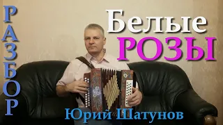 Белые розы.♥ Разбор на гармони. Николай Гарбузов