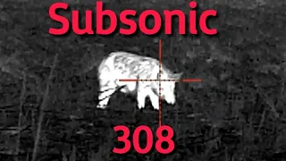 308 Subsonic V's Boar. How we shoot pigs / hogs the Aussie way. Pulsar Trail2 XP50 LRF.