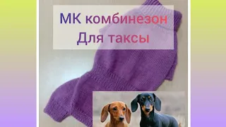 МК комбинезон для таксы девочки /как связать комбинезон на таксу