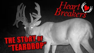 "Teardrop" The Untold Story of a 200+" Double Drop Tine Whitetail