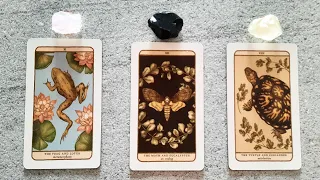 ONE LAST MESSAGE YOU NEED TO HEAR BEFORE IT ALL HAPPENS! 🌸🌿🐢 | Pick a Card Tarot Reading