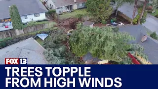 Washington storms: High winds in the sound, heavy snowfall in mountain passes | FOX 13 Seattle
