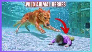 10 Amazing Stories of Wild Animals Saving People