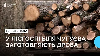 Як заготовляють дрова у лісгоспі неподалік Чугуєва
