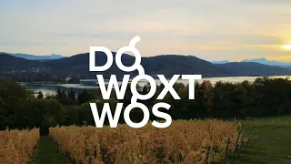 DoWoxtWos: Weinbau Wild