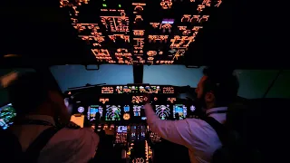 Flying In Extreme Weather Conditions | Heavy Snow | Boeing 737 Go Around Cockpit View