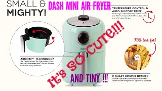 Dash 2 Quart Mini Air Fryer Review - SAY WHAATTT?!?! I Never Knew There WAS Such a Thing!