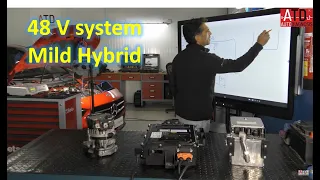 Midl Hybrid 48V.  ¿How does it work?