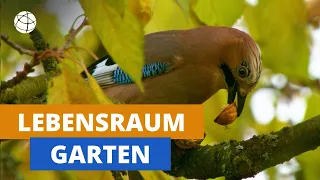 Leben im Garten - zu allen Jahreszeiten | Planet Schule