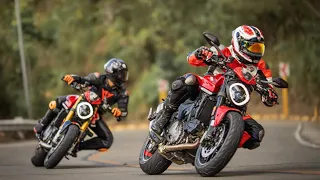 🔥DUCATI MONSTER SP vs MONSTER PLUS vs KTM 1290 Superduke R 🤯