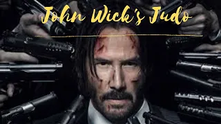 John Wick's Judo & Aikido move set