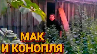 хз как назвать, но можно там поугарать 😁