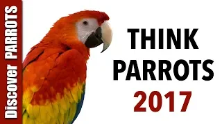 Think Parrots 2017 | Discover PARROTS
