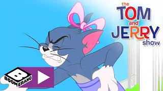 Tom i Jerry Show | Bitwa na psikusy | Cartoonito