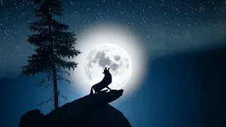 Wolf howl at the full moon made in Ue5