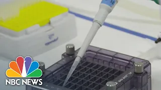 FDA Grants Emergency Use Authorization For Pfizer Covid Vaccine | NBC News