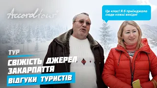 Жайворонок Берегово Термальные источники Украина | Свежесть родников Закарпатья отзывы об Аккорд тур