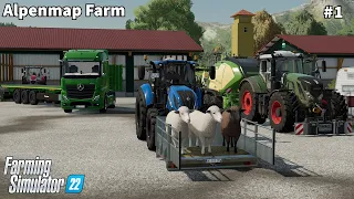 Feeding Animals ( Cows & Chicken ), Mowing  & Baling Grass│Alpenmap ( Erlengrat)│FS 22│Timelapse#1