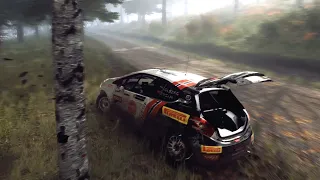 Dirt Rally 2.0  Realistic crashes 1