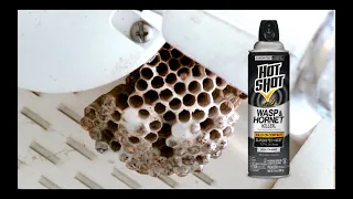 Hot Shot Wasp & Hornet Killer Commercial