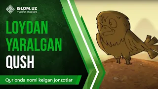 27.  Loydan yaralgan qush | Qur'onda nomi kelgan jonzotlar