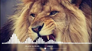 ALEX & RUS WILD LIONESS Music tigar sound tik tok 360p