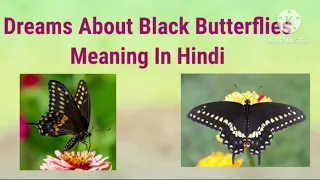 Seeing Black Butterfly In Dreams Meaning In (Hindi)