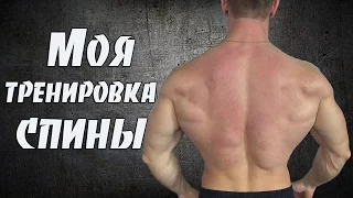 Тренировка мышц спины