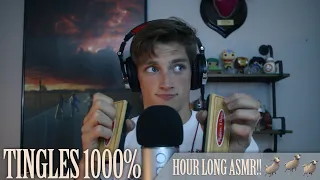 Hour Long ASMR for People Who Can't Get to Sleep - (Sheep #2)