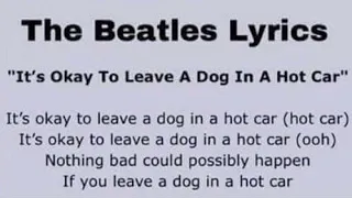 The Beatles - It's Okay to Leave A Dog in a Hot Car