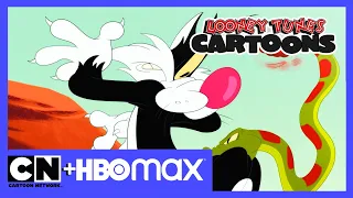 Zwariowane Melodie: Kreskówki | Głodny Sylwester | Cartoon Network